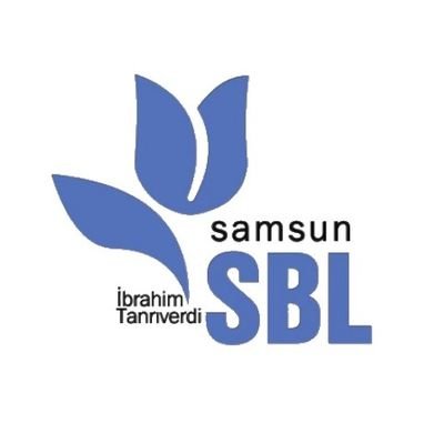 Samsun SBL Logo